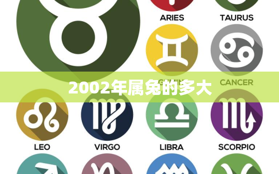 2002年属兔的多大，200几年属兔