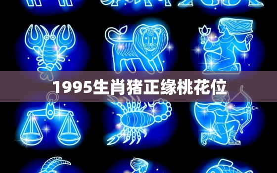 1995生肖猪正缘桃花位，95属猪正缘2022