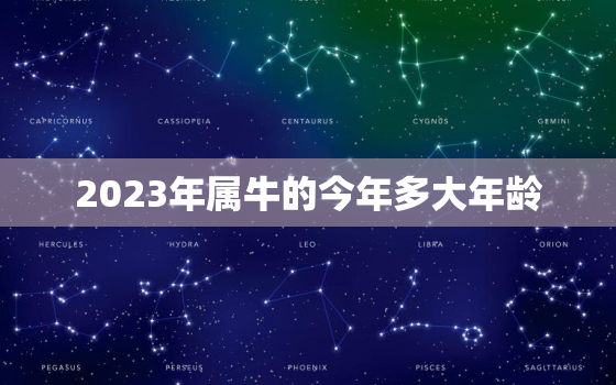 2023年属牛的今年多大年龄，生肖牛2023年