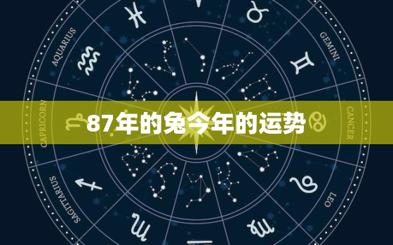 87年的兔今年的运势，87年生肖兔今年运势