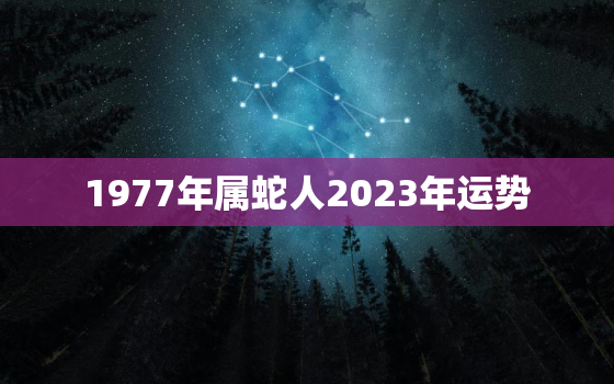 1977年属蛇人2023年运势，1977年属蛇人2023年运势每月运势