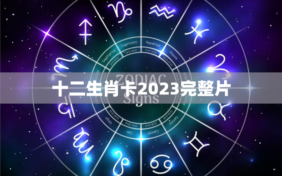 十二生肖卡2023完整片，十二生肖卡片表