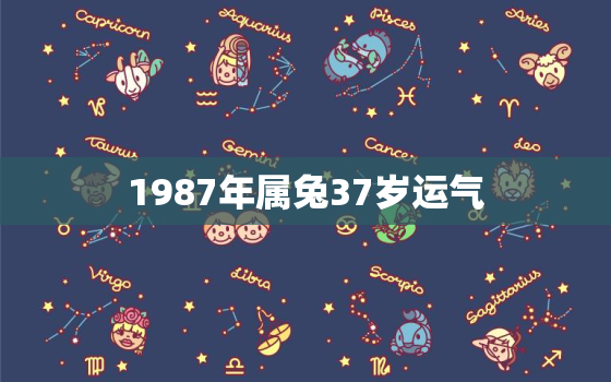 1987年属兔37岁运气，1987年兔37岁后财运