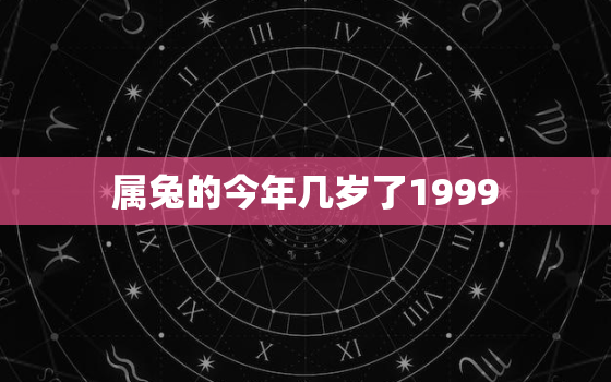 属兔的今年几岁了1999，属兔的今年几岁了2020