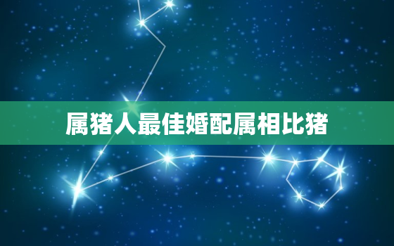 属猪人最佳婚配属相比猪，属猪人婚配属相最好