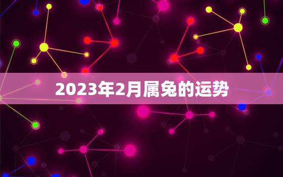 2023年2月属兔的运势，2023年每个月兔的命运