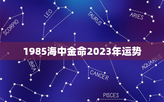 1985海中金命2023年运势，1985海中金命2023年运势男