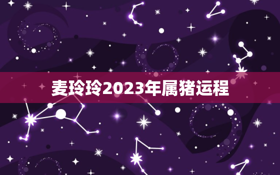 麦玲玲2023年属猪运程，2021猪运势麦玲玲