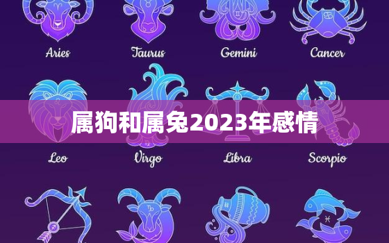 属狗和属兔2023年感情，属狗和属兔2021年感情