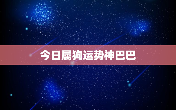 今日属狗运势神巴巴，属狗人生于
月命运如何