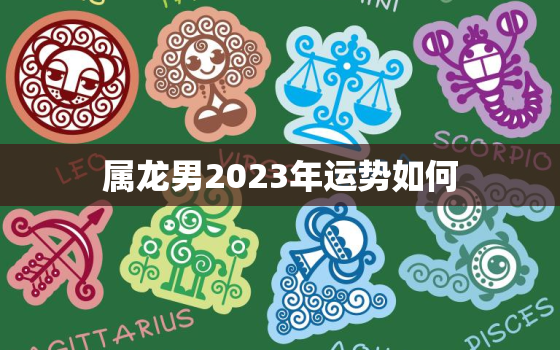 属龙男2023年运势如何，属龙男2022