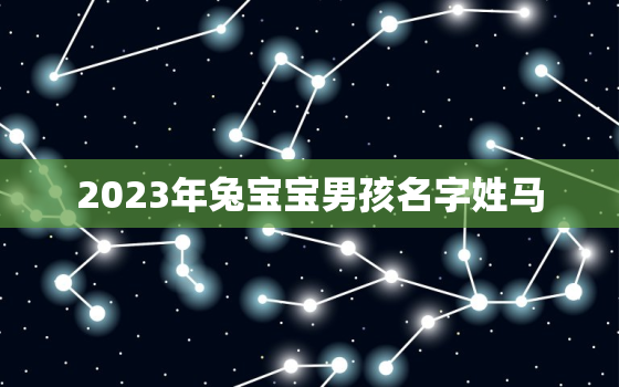 2023年兔宝宝男孩名字姓马，2023兔宝宝怎么样