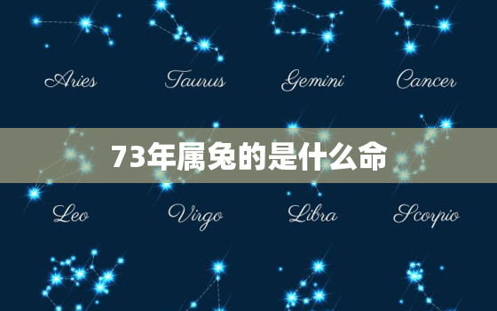 73年属兔的是什么命，73年生人什么命人