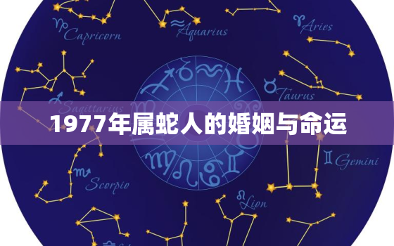 1977年属蛇人的婚姻与命运，2023年属蛇要出大事