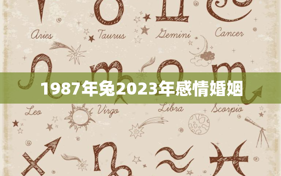 1987年兔2023年感情婚姻，87年属兔36岁有一灾