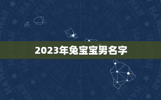 2023年兔宝宝男名字，2023年兔宝宝起名