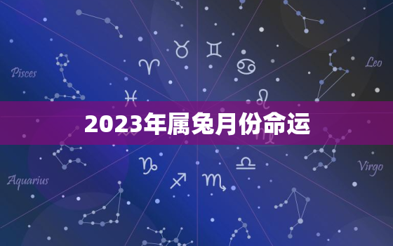 2023年属兔月份命运，2023年属兔月份命运详解