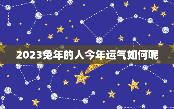 2023兔年的人今年运气如何呢，2023年属兔人的全年运势及运程