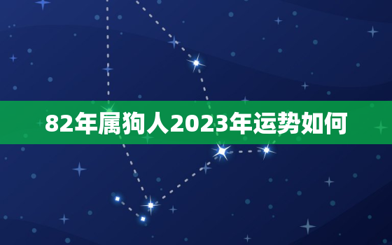 82年属狗人2023年运势如何，82年狗2023年运势怎么样