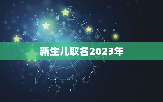 新生儿取名2023年，二o二一年新生儿取名