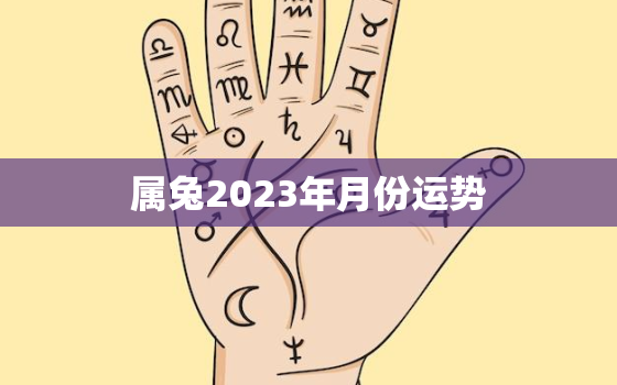 属兔2023年月份运势，属兔2023年月份运势详解