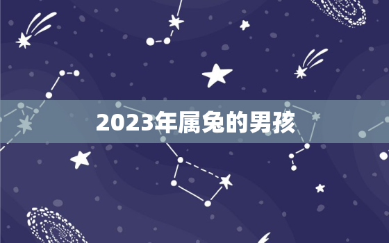 2023年属兔的男孩，属兔男孩名字