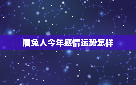 属兔人今年感情运势怎样，属兔的2022年感情运势如何