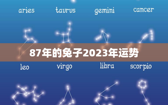 87年的兔子2023年运势，87年属兔人2023年运势及财运