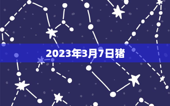 2023年3月7日猪，2023年3月7日猪价