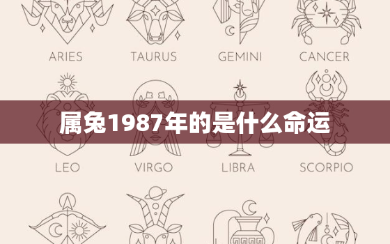 属兔1987年的是什么命运，1987年的属兔的是什么命运