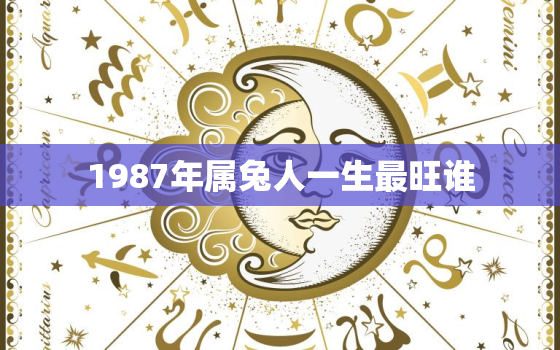 1987年属兔人一生最旺谁，1987年属兔人的命理和运势