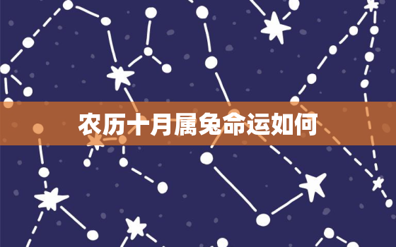 农历十月属兔命运如何，农历十月出生的属兔人