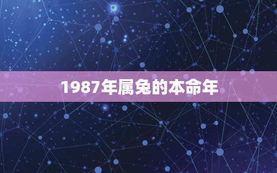 1987年属兔的本命年，1994年属狗的命运