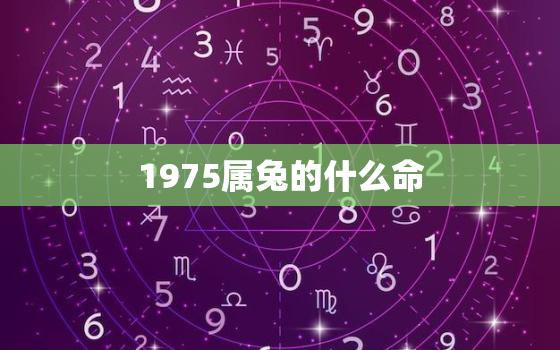 1975属兔的什么命，1975属兔什么命运