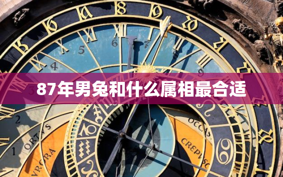 87年男兔和什么属相最合适，87年男兔和什么属相最合适结婚