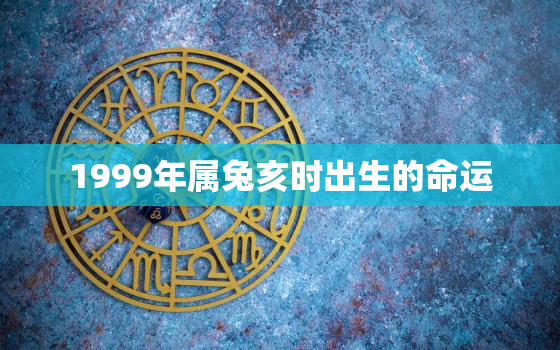 1999年属兔亥时出生的命运，1999年属兔亥时出生的男孩命运