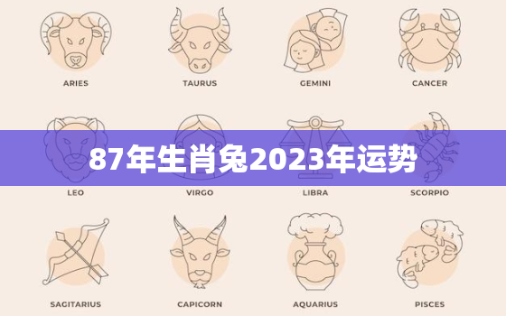 87年生肖兔2023年运势，87年属兔人2023年运势及财运