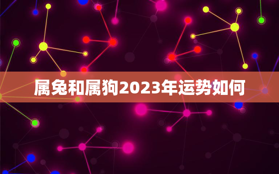 属兔和属狗2023年运势如何，兔年属狗运势2023年运势