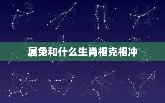 属兔和什么生肖相克相冲，属兔和什么属相相克