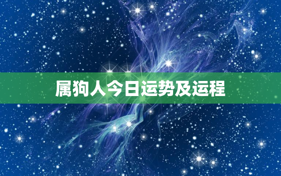 属狗人今日运势及运程，属狗今日运势每日运程