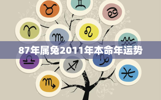 87年属兔2011年本命年运势，87年2011年多大