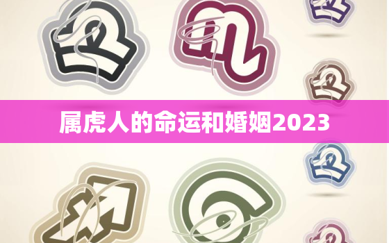 属虎人的命运和婚姻2023，属虎人的命运和婚姻2022