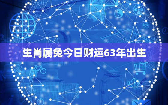 生肖属兔今日财运63年出生，生肖属兔今日财运63年出生的人