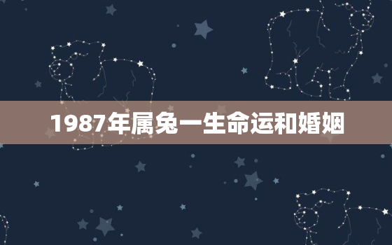 1987年属兔一生命运和婚姻，1987年属兔一生的婚姻