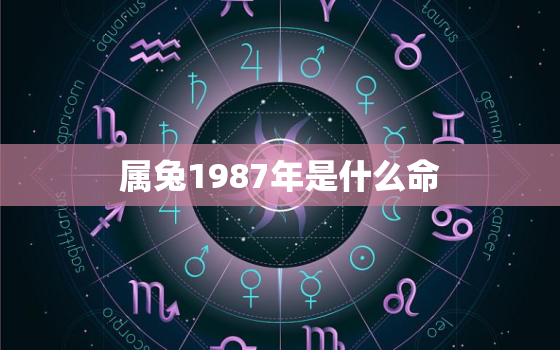 属兔1987年是什么命，1987属兔是啥命