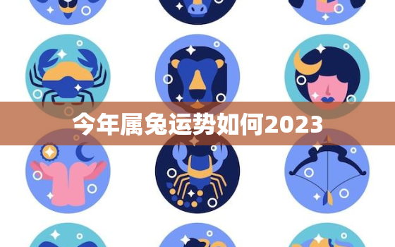 今年属兔运势如何2023，今年属兔运程怎样