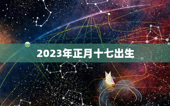 2023年正月十七出生，2023年正月十七出生的兔宝宝