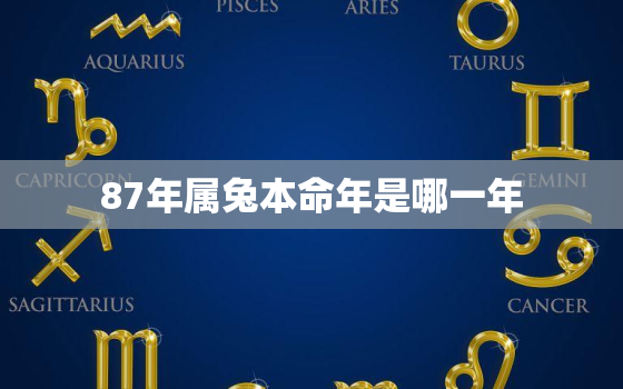 87年属兔本命年是哪一年，87年兔子本命年