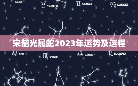 宋韶光属蛇2023年运势及运程，2023属蛇人的全年运势