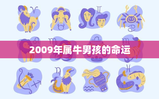 2009年属牛男孩的命运，2009年属牛一生学业如何